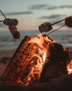 Load image into Gallery viewer, Beach Bonfire
